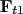 $ \mathbf{F}_{t1}$