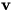 v