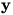 y