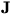 J